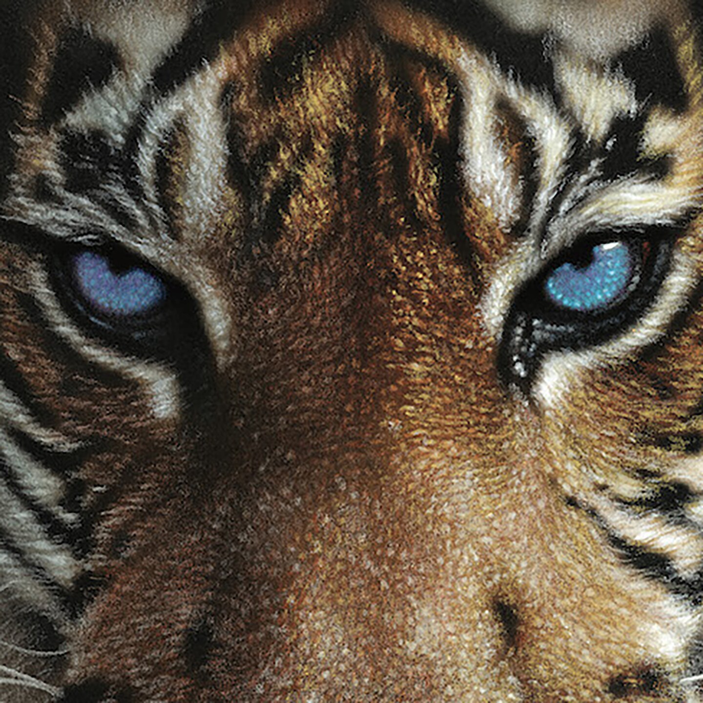 Hart Puzzles Blue Eyes Tiger by Colin Bogle, 24 x 30 1000 Piece Puzzle