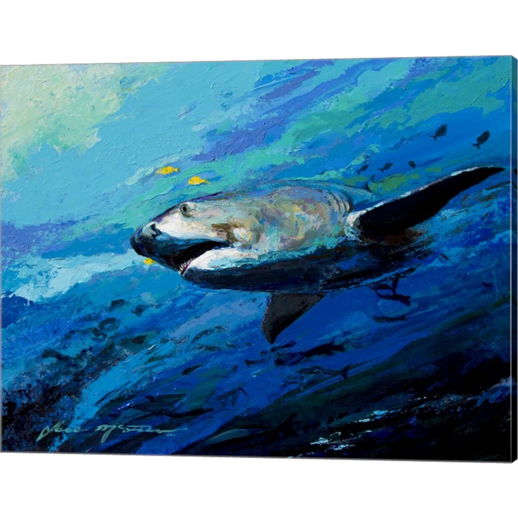The Mighty Bull Shark by Jace D. McTier 20" x 16" Canvas Wall Art