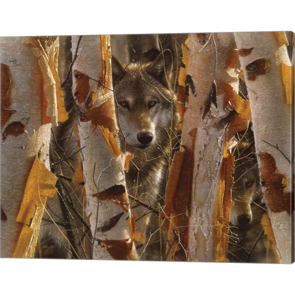 Wolves - The Guardian by Collin Bogle 20" x 16" Canvas Wall Art