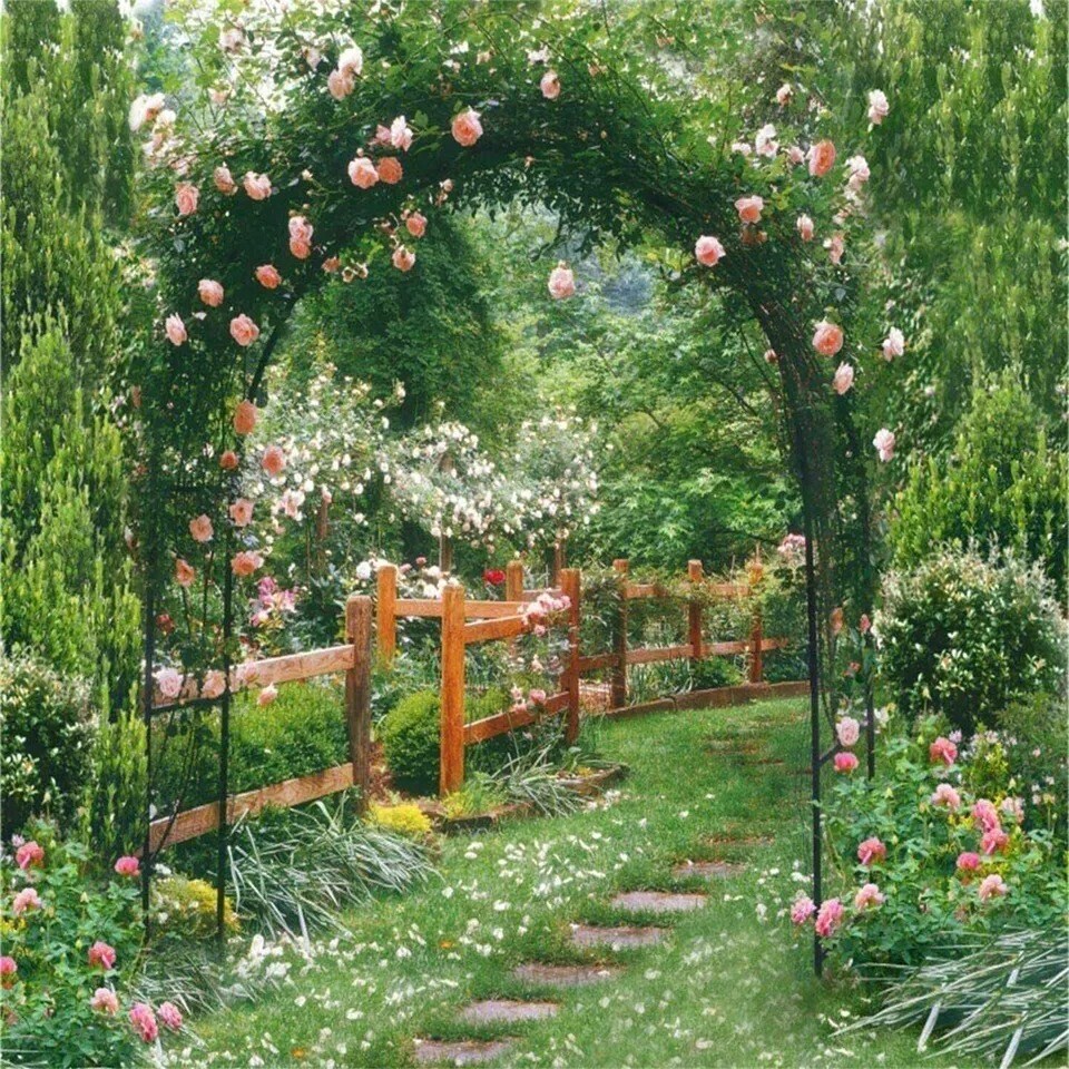 Outdoor Metal Black Wedding Arch Curved Garden Arbor for Climbing Plants Trellis