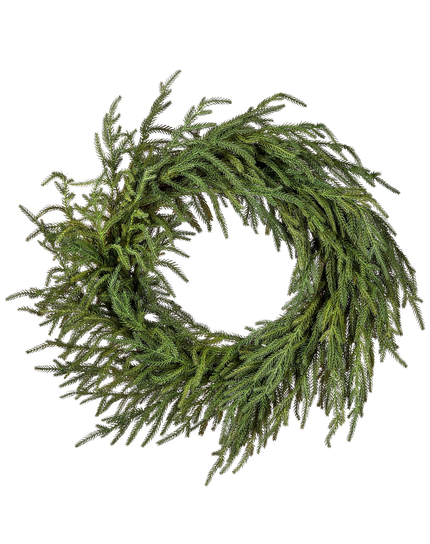 24&#x22; Garden Norfolk Pine Wreath - Natural Frost Touch
