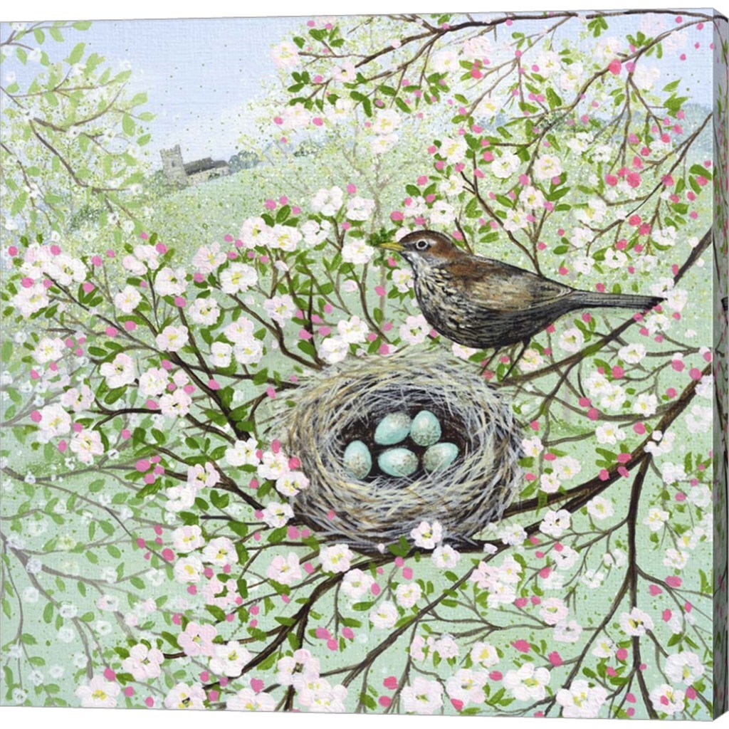 Blossom and Blackbird by Lucy Grossmith 12&#x22; x 12&#x22; Canvas Wall Art