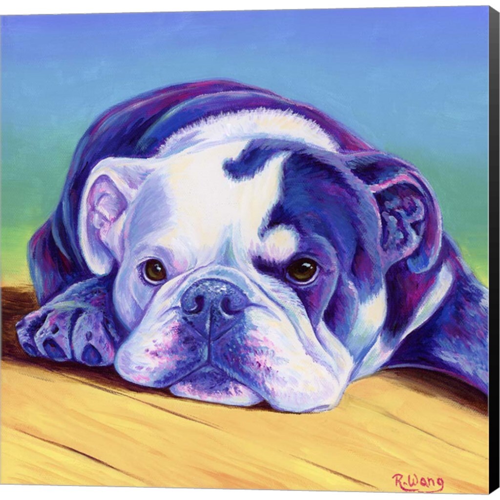 Sweet English Bulldog by Rebecca Wang Art 12" x 12" Canvas Wall Art
