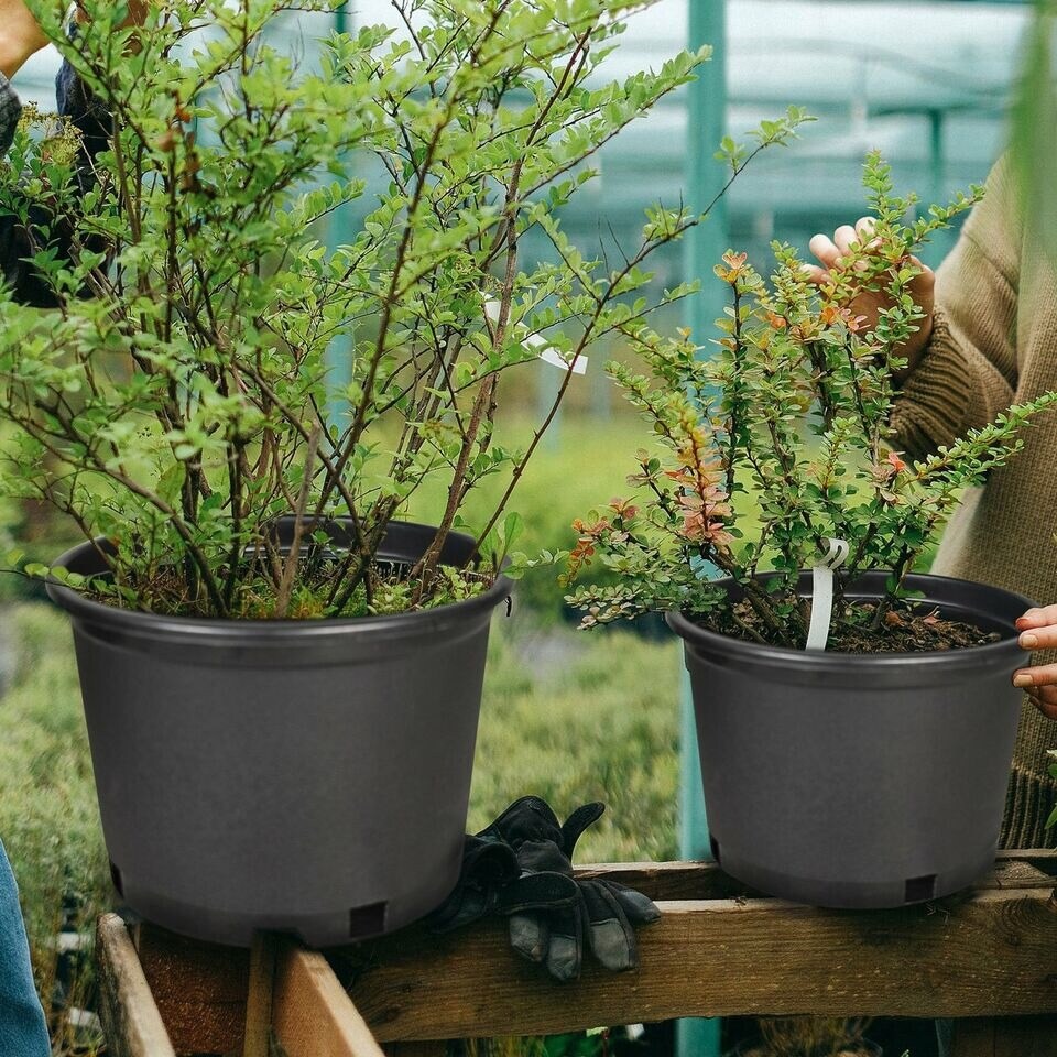 Squat Heavy Duty Premium Black Plastic Nursery Plant Container Garden Pot 2gal