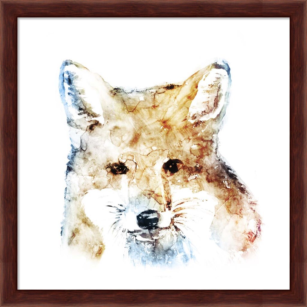 Watercolour Fox by Edward Selkirk 13&#x22; x 13&#x22; Framed Wall Art