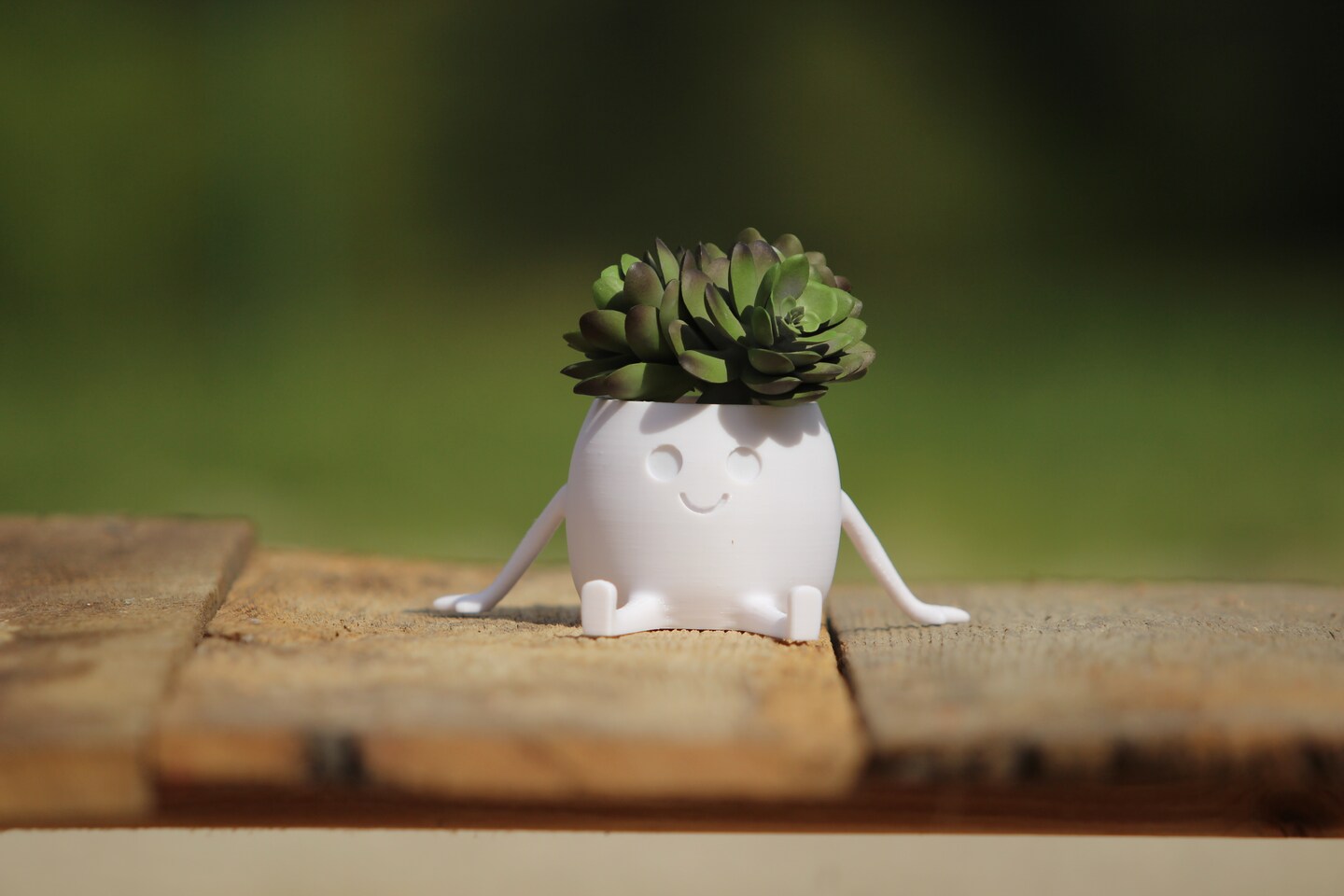 Succulent Planter Modern Small Cacti and Succulent Plants Unique Decorative  Planter for Home and Office 3D Printed Cute Succulent Pot | MakerPlace by  Michaels