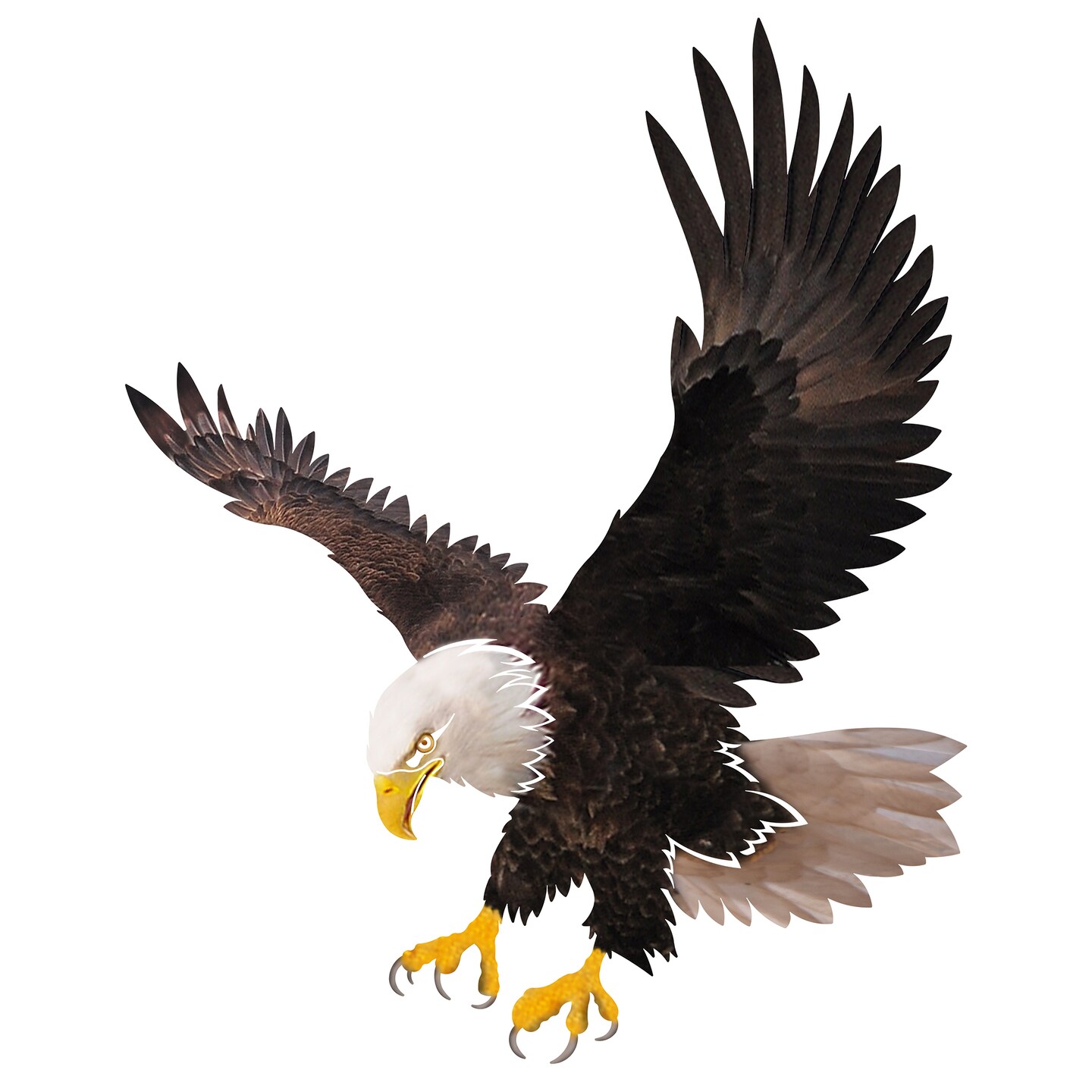Bald Eagle Metal Wall Art