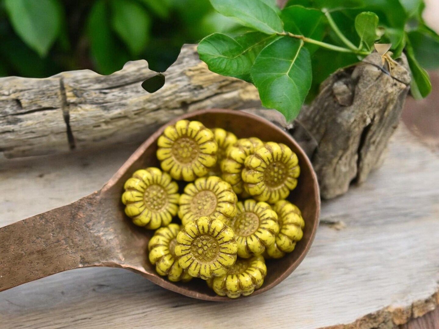 *12* 13mm Dark Bronze Washed Opaque Yellow Sunflower Coin Beads