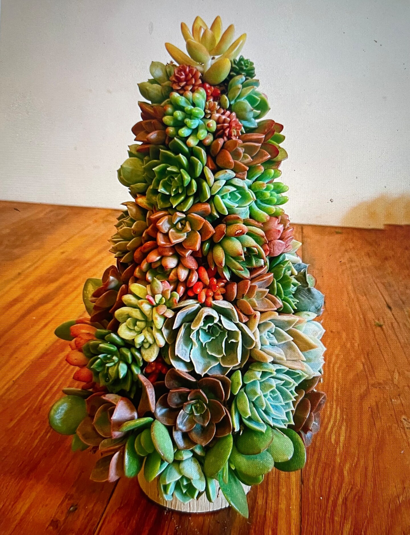 Succulent Christmas Tree | Live succulent and moss tree | Handmade holiday  decor | MakerPlace by Michaels