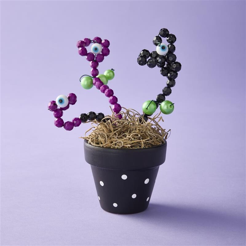 Sunday MakeBreak: Beaded Eyeball Plant