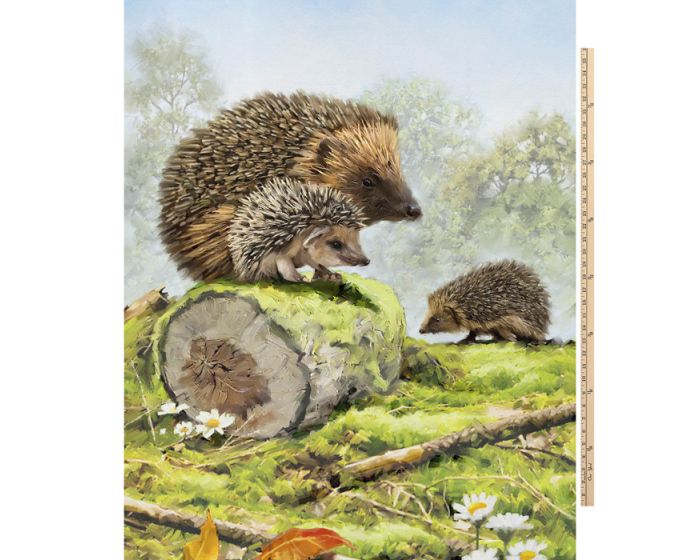 Hedgehogs Digital Cotton Print Fabric Panel | 100% Cotton | Sold By the Panel