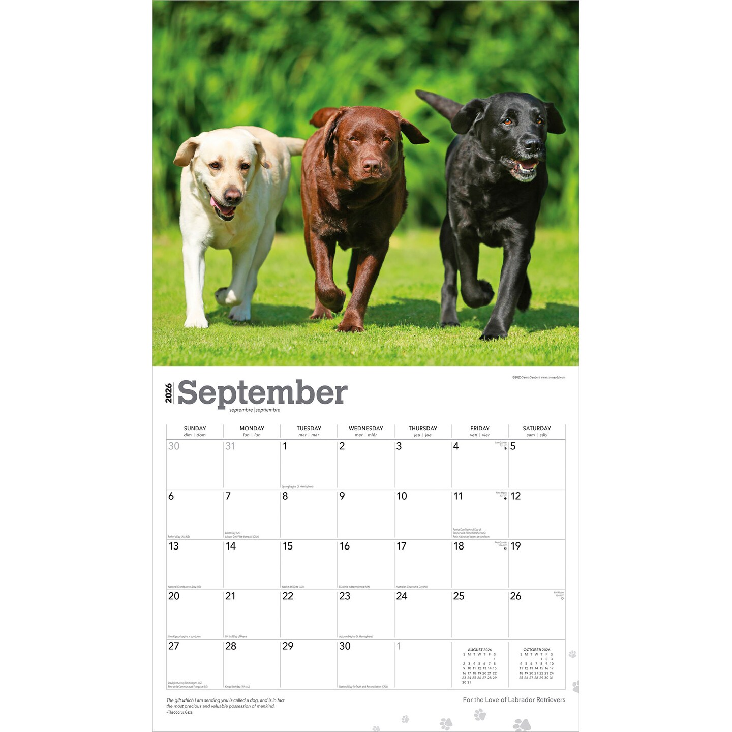 For the Love of Labrador Retrievers | 2026 14 x 24 Inch (Hanging) Monthly Deluxe Wall Calendar | Foil Stamped Cover | Plastic-Free