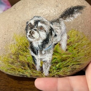 Pet portrait on rock - Custom hand painted realistic and selling detailed cat or dog portrait on a stone from your photos.