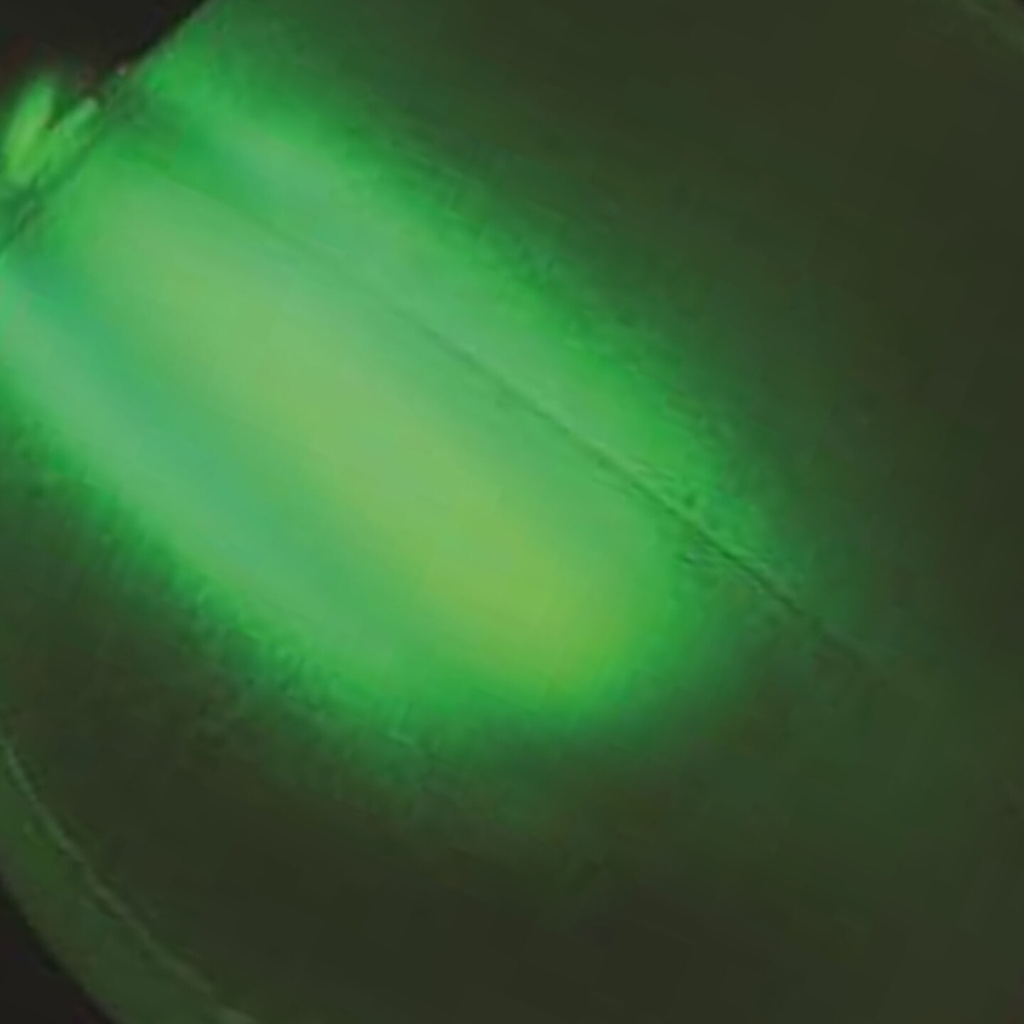 Glow Beach Ball