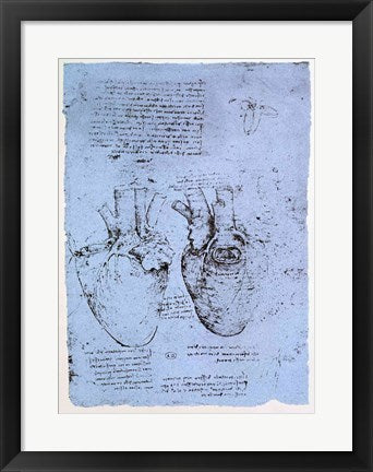 Framed Art The Heart by Leonardo Da Vinci Wall Decor 18x24 Artwork