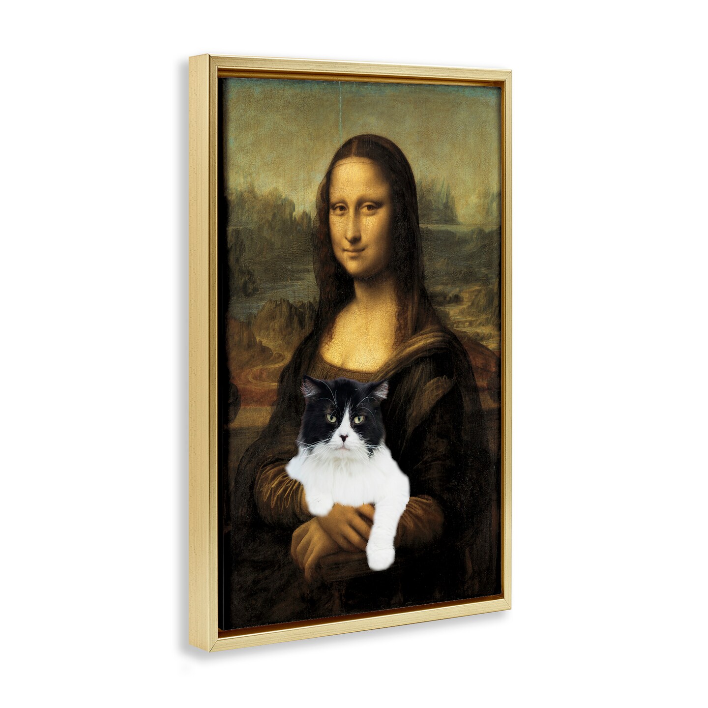 Stupell Industries Mona Lisa Cat Lady Floating Frame, design by Masters Redux