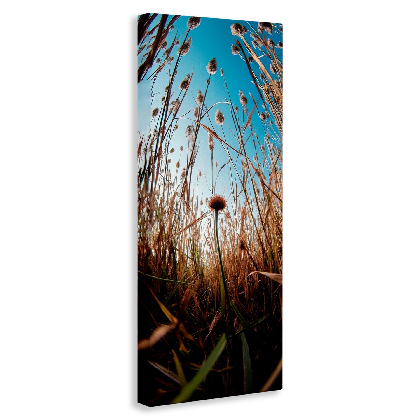 Stupell Industries Daydream Botanical Meadow Canvas, design by Decent Exposures