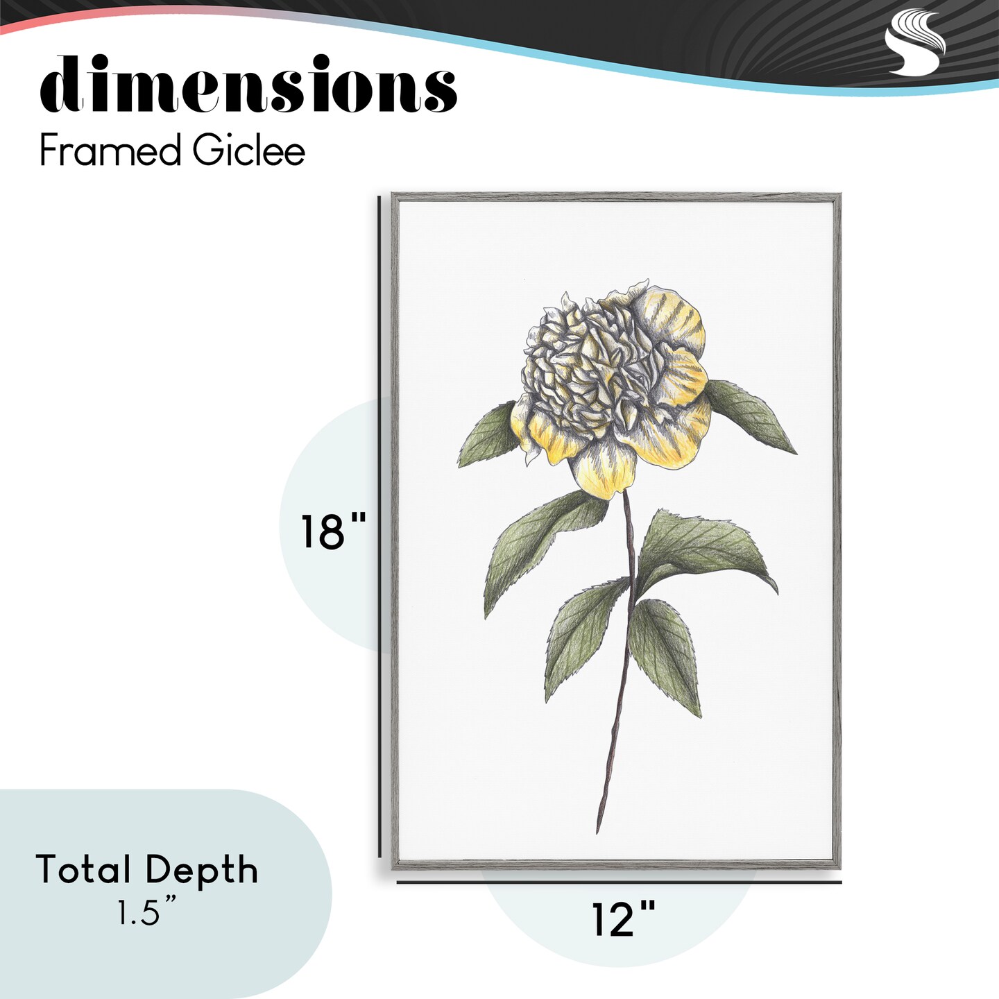 Stupell Industries Camellia Flower Illustration Framed Giclee, design by Cecilia Battaini