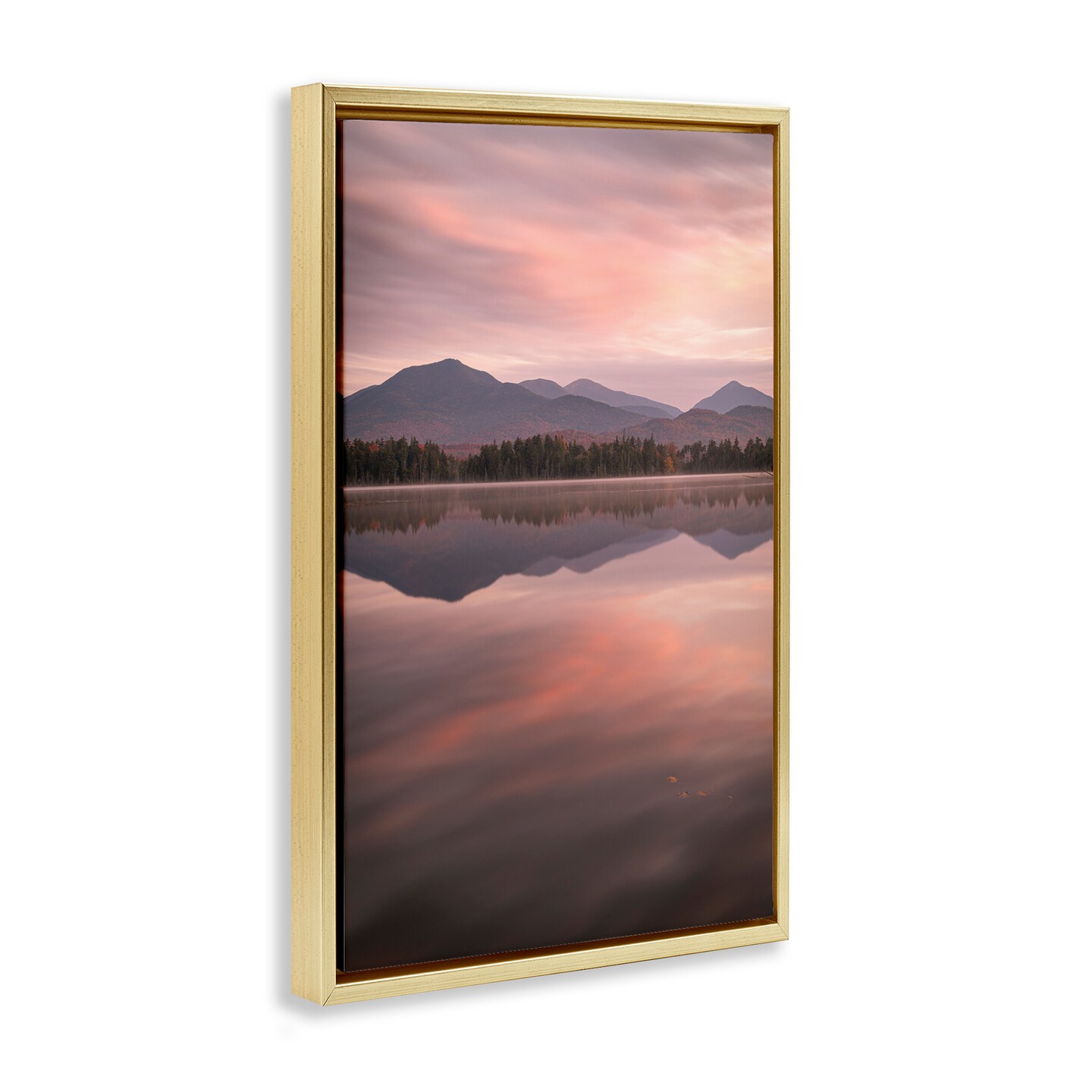 Stupell Industries Dawn Reflection In Glory Floating Frame, design by James Rodewald