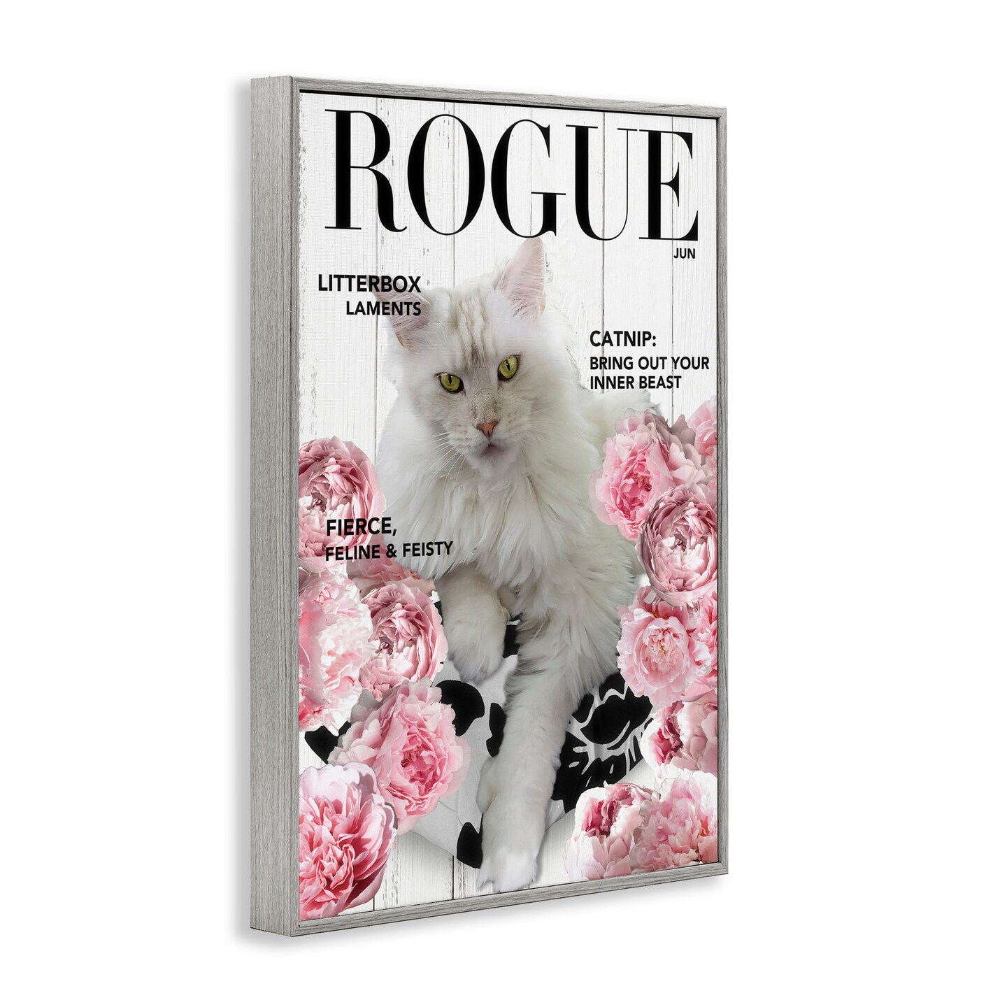 Stupell Industries Funny Floral Cat Magazine Framed Giclee, design by Sasha