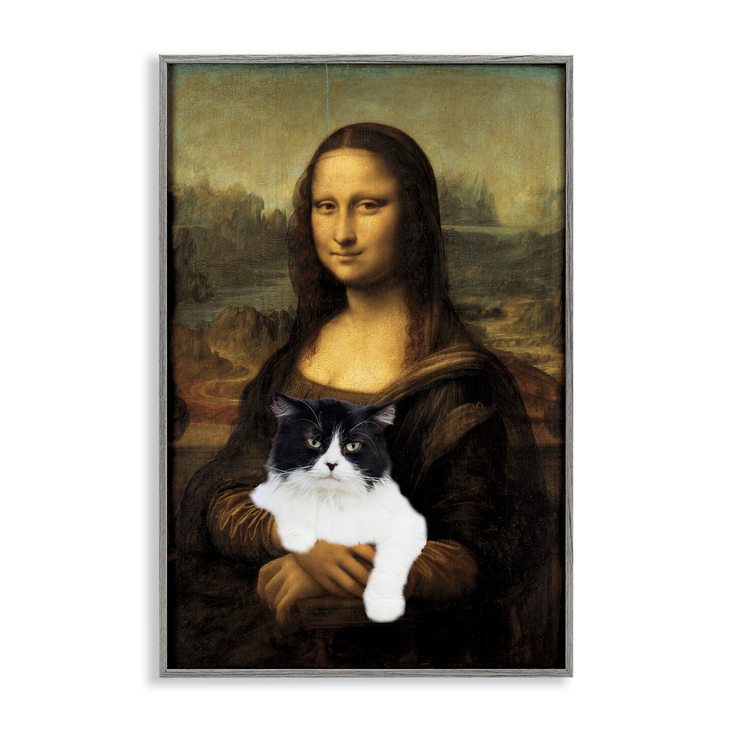 Stupell Industries Mona Lisa Cat Lady Framed Giclee, design by Masters Redux