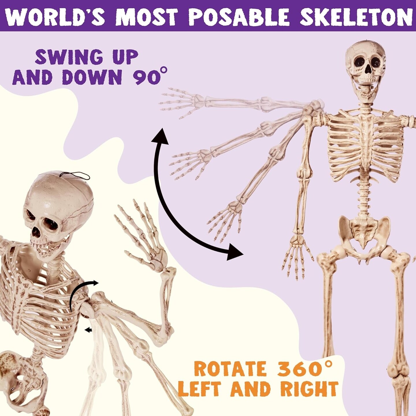 5.6 FT Life Size Skeleton