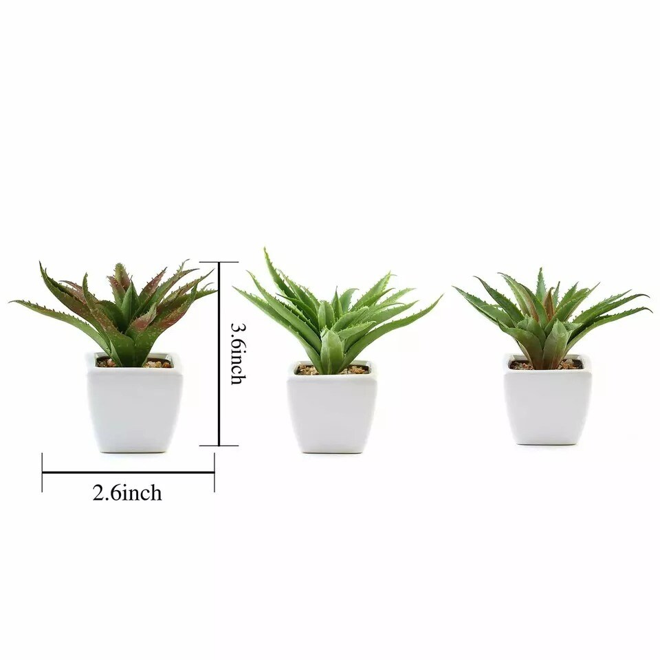 Green 3 Assorted 5&#x22; Faux Realistic Aloe Succulent Plants Off White Pots
