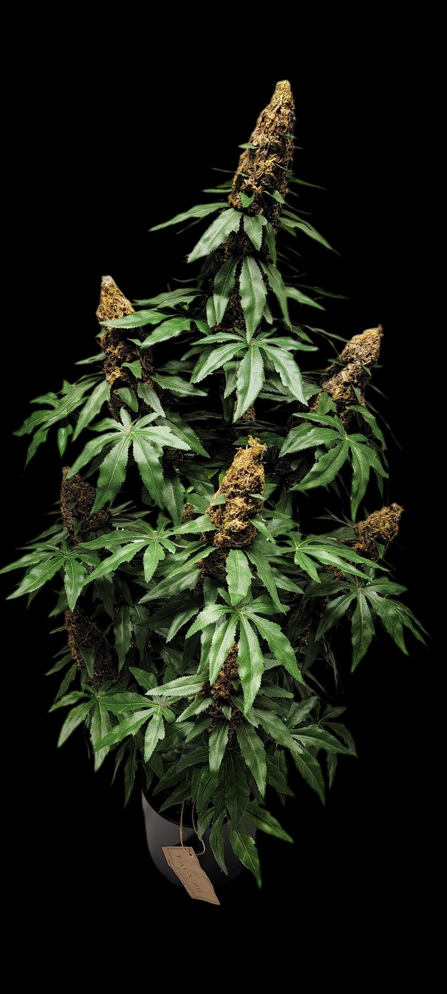 40" Artificial Marijuana Plant - Fake Weed Cannabis XXL (420) Decoration | FAUX-20 - image10