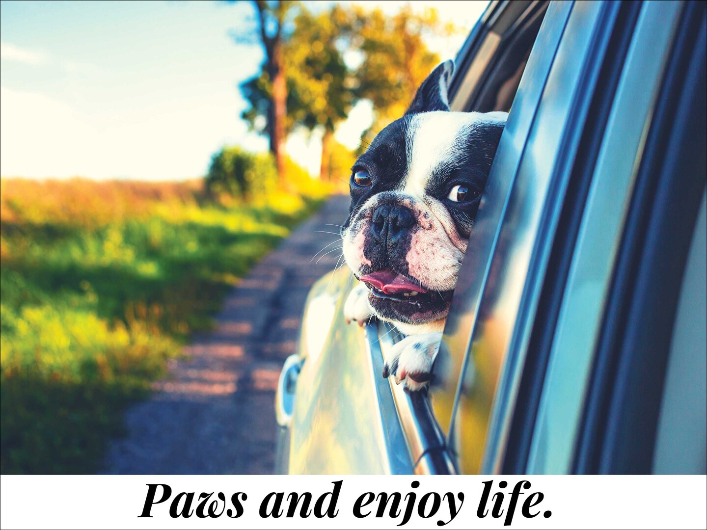 Paws and Enjoy Life Dog Poster Bulldog Wall Print, 24&#x22;x18&#x22;, Unframed