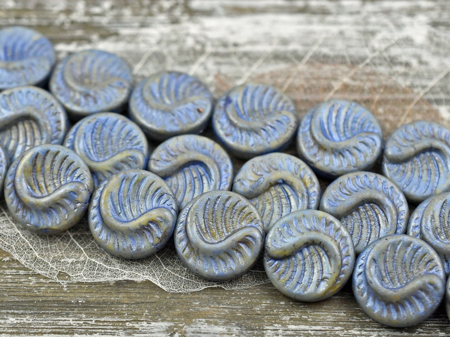 *6* 19mm Alabaster Celestial Blue Fossil Coin Beads