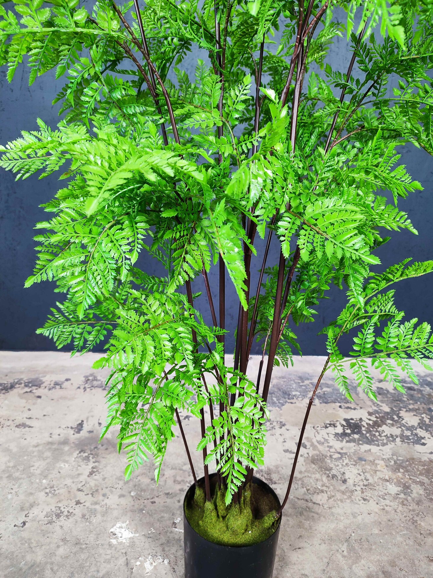 Artificial Fern tree,artificial tree,fake fern tree,Faux fern plant |  MakerPlace by Michaels