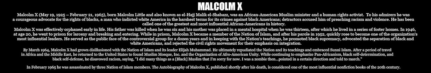 Malcolm X Poster Truth is On Side of the Oppressed, 24&#x22;x18&#x22;, Unframed