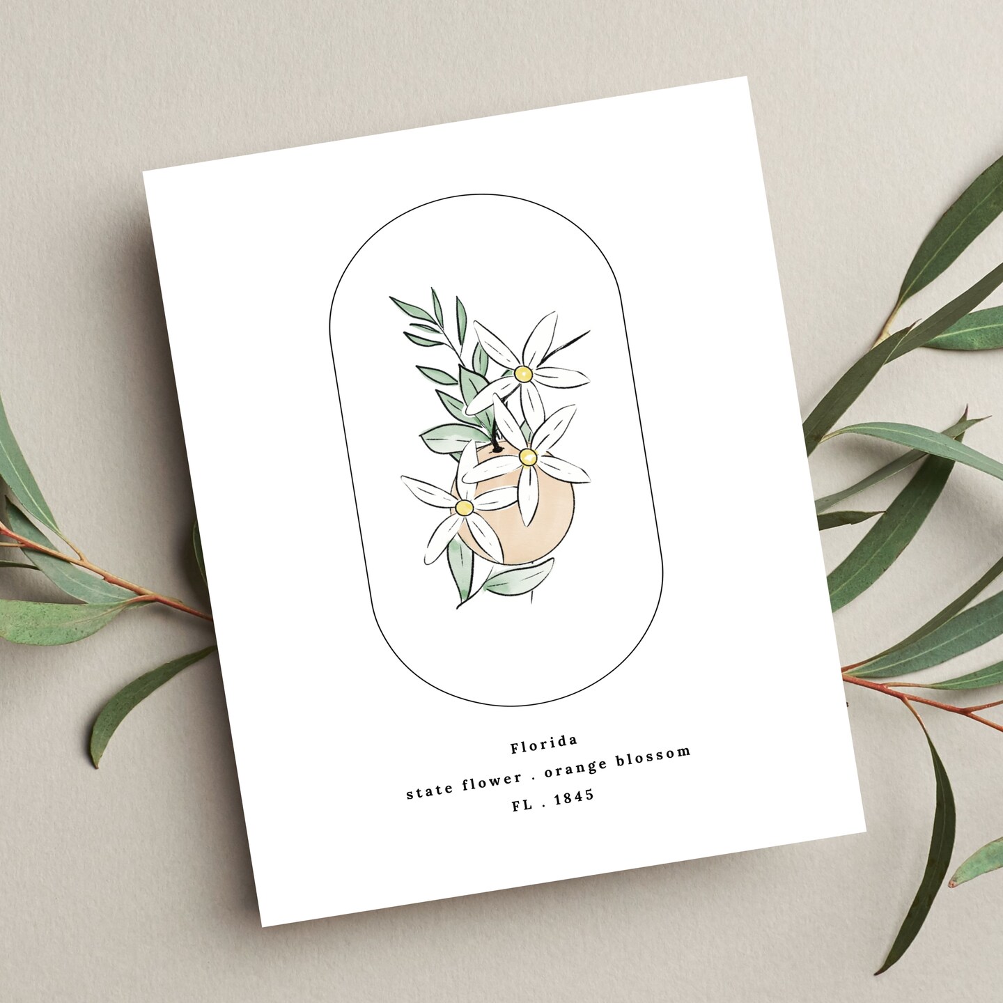 Florida State Flower Print | Unframed FL Orange Blossom USA State Illustrated Floral Art product 2