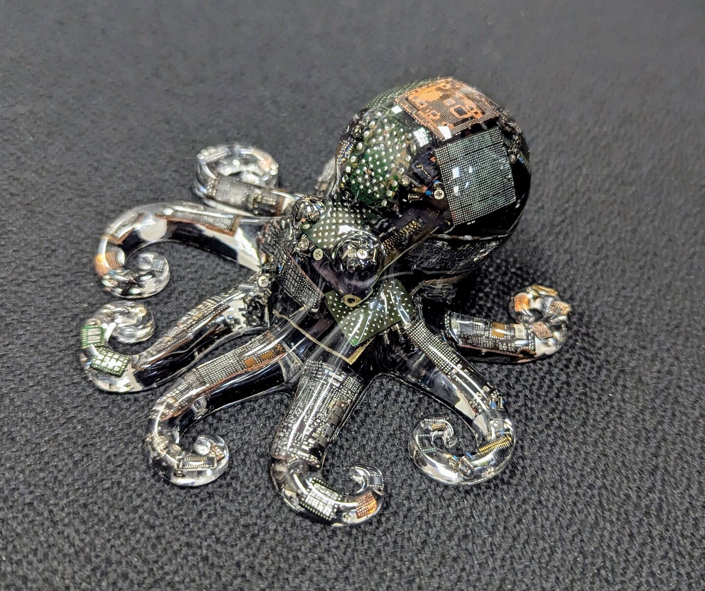 OCTOPUS CULT 4枚セット 幻覚アレルギー かまいたち OCTOPUS CULT