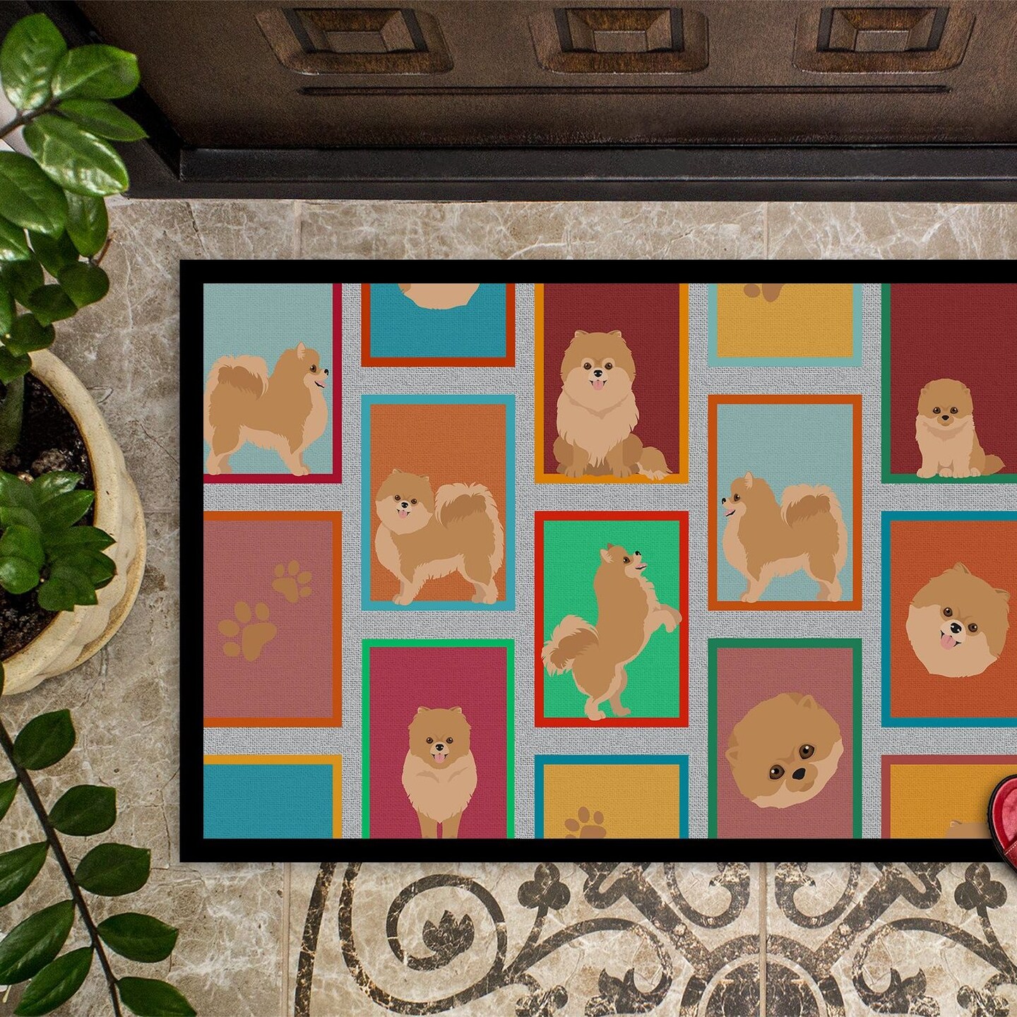 Edge Collections - 18" x 27" - Multicolor - Pomeranian Doormat Non Slip Washable - 1 Piece