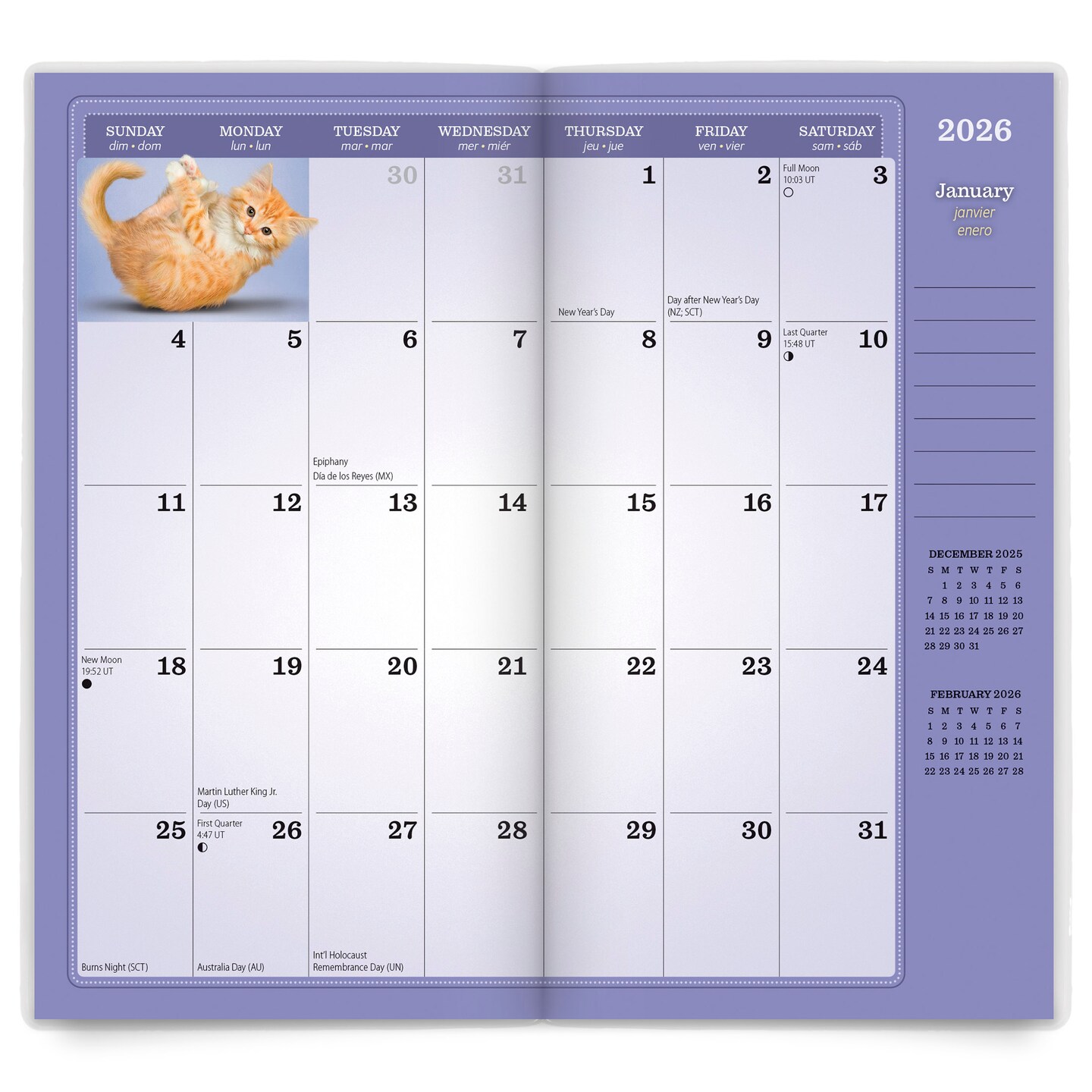 Yoga Kittens OFFICIAL | 2026-2027 3.5 x 6.5 Inch Two Year Monthly Pocket Planner Calendar