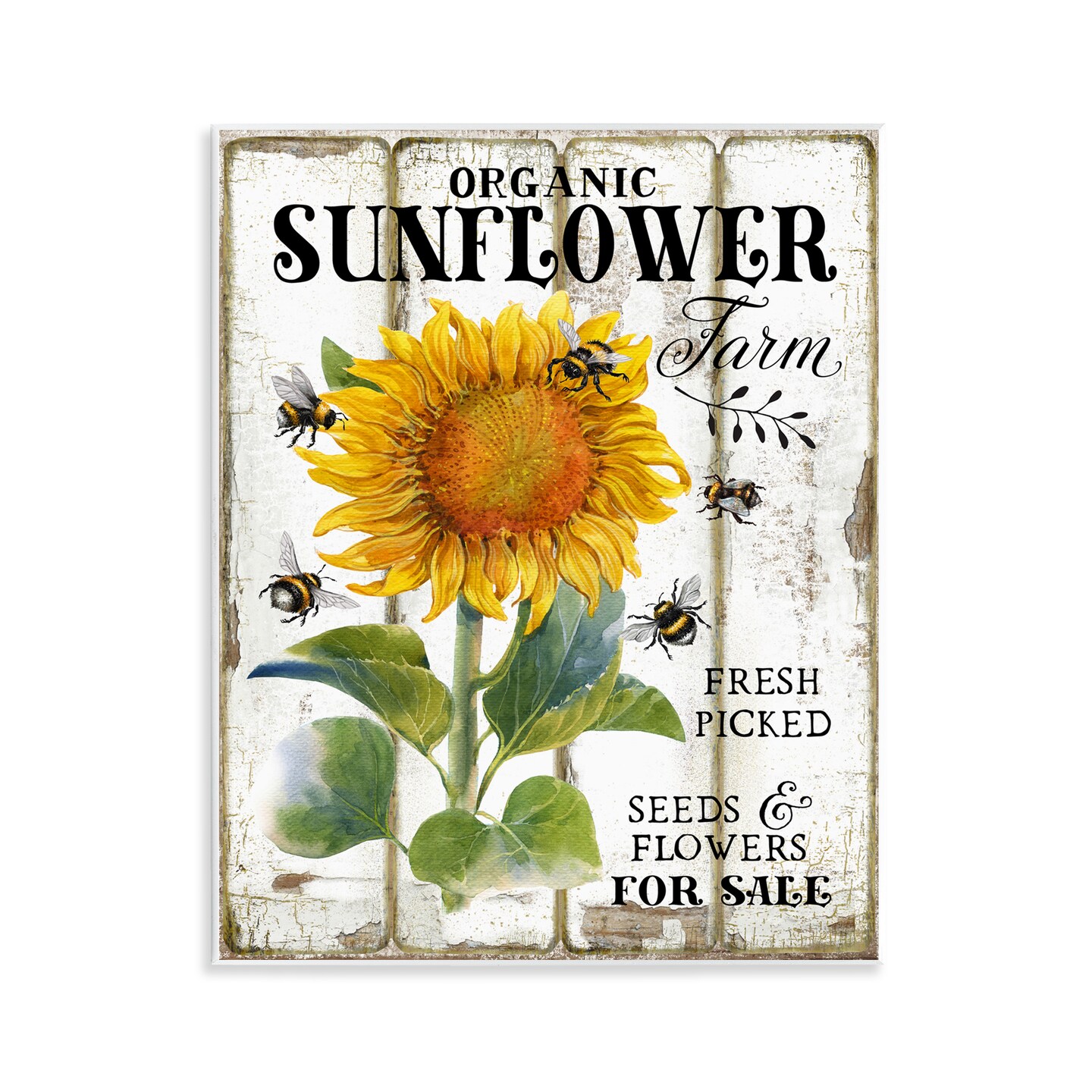 Stupell Industries Organic Sunflower Farm Wall Plaque Art Design by Creatif Belle