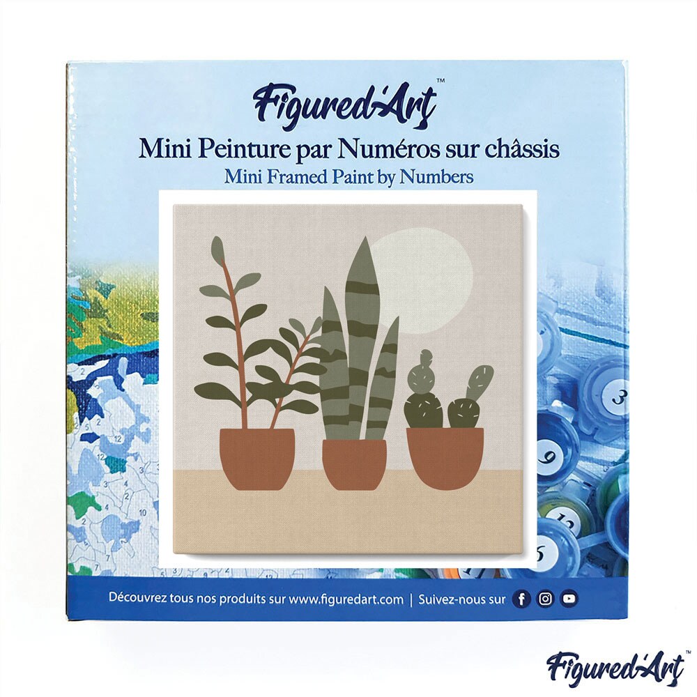 Figured&#x27;Art Mini Paint by Numbers Kit for Adults with Frame Three plant pots Small format 8&#x22;x8&#x22; - Craft Art Painting DIY Canvas Already Stretched on a Wooden Frame