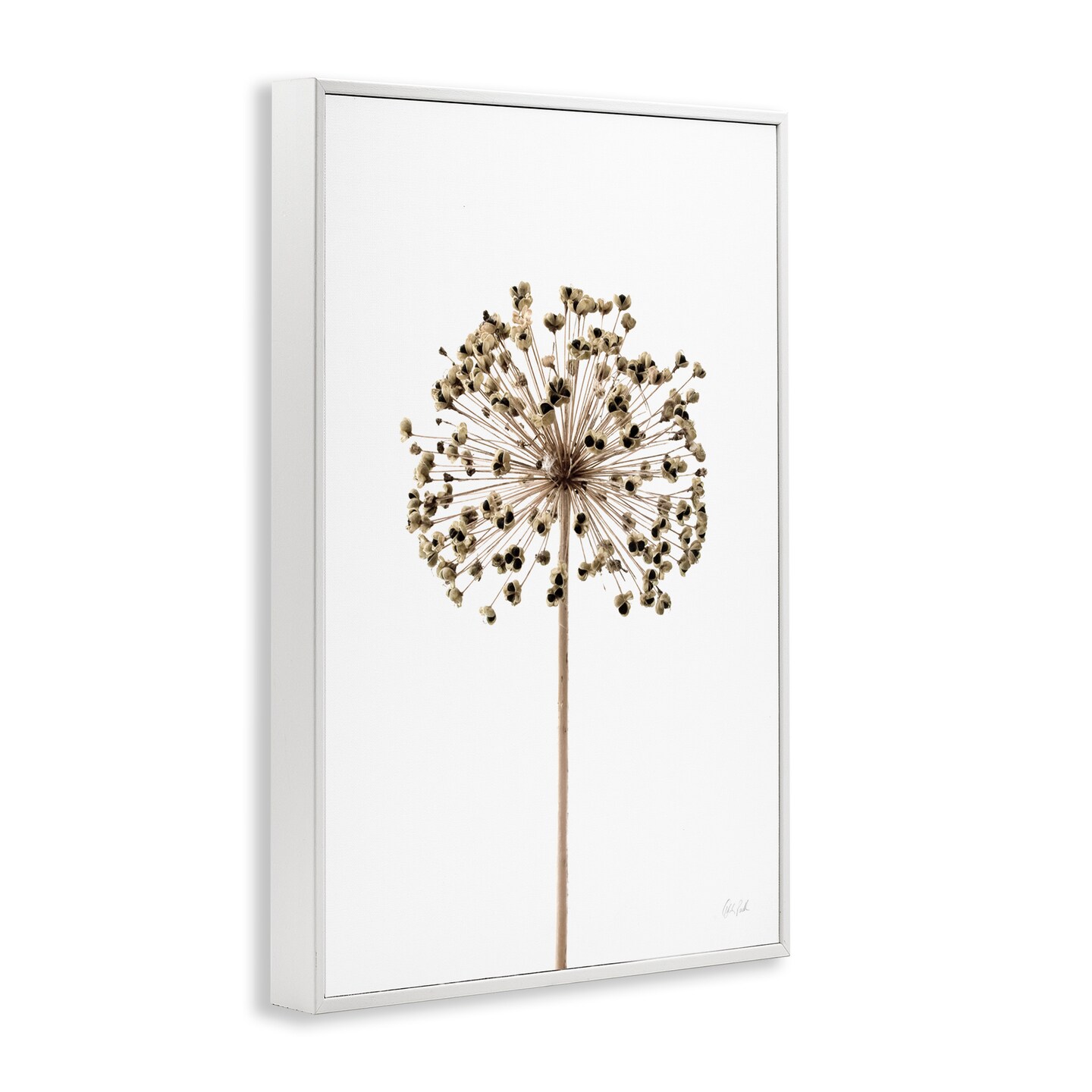 Stupell Industries Minimal Allium Bud Framed Giclee Wall Art Design by Deborah Revell