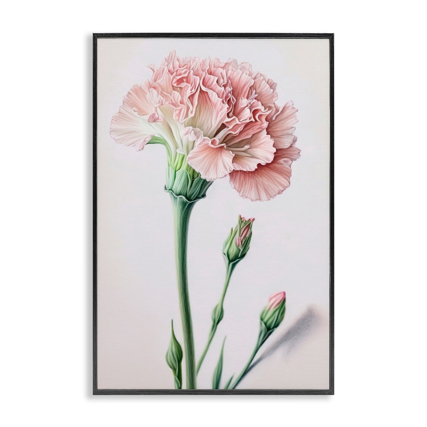 Stupell Industries Pale Carnation Budding Framed Giclee Wall Art Design by Incado