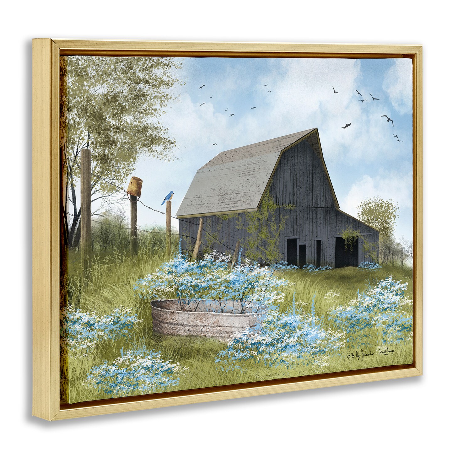 Stupell Industries Blue Floral Country Garden Floater Framed Canvas Wall Art Design by Billy Jacobs