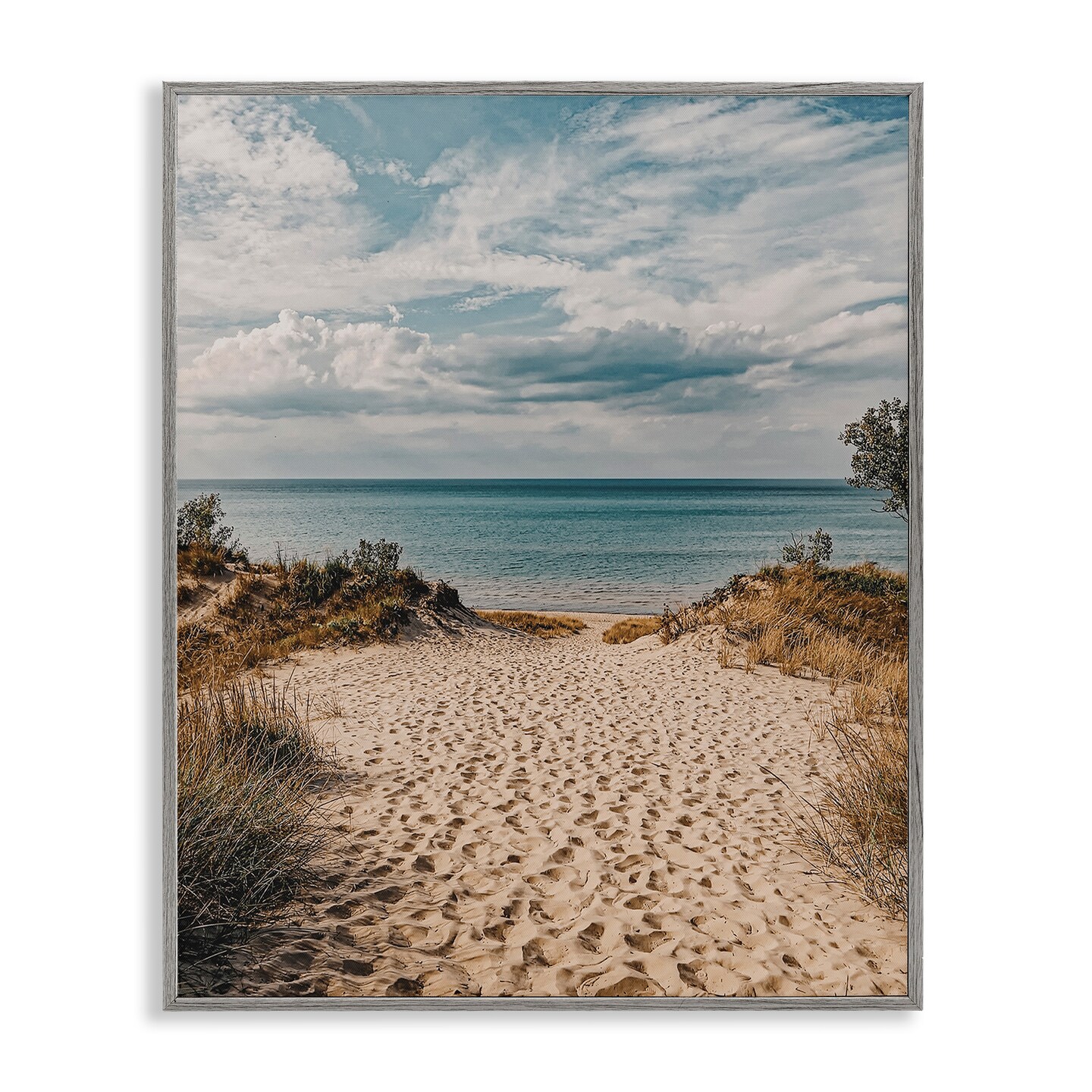 Stupell Industries Traveled Beach Path Framed Giclee Wall Art Design by LSR Design Studio