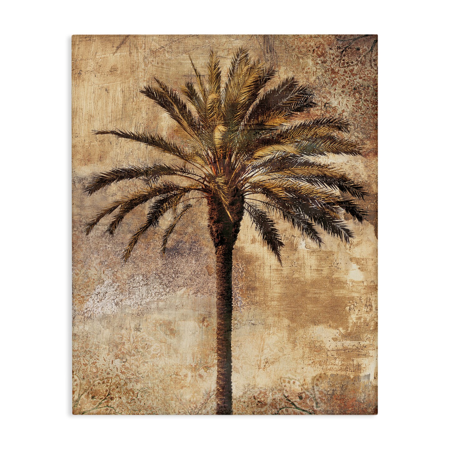 Stupell Industries Distressed Palm Tree Canvas Wall Art Design by Dan Sproul