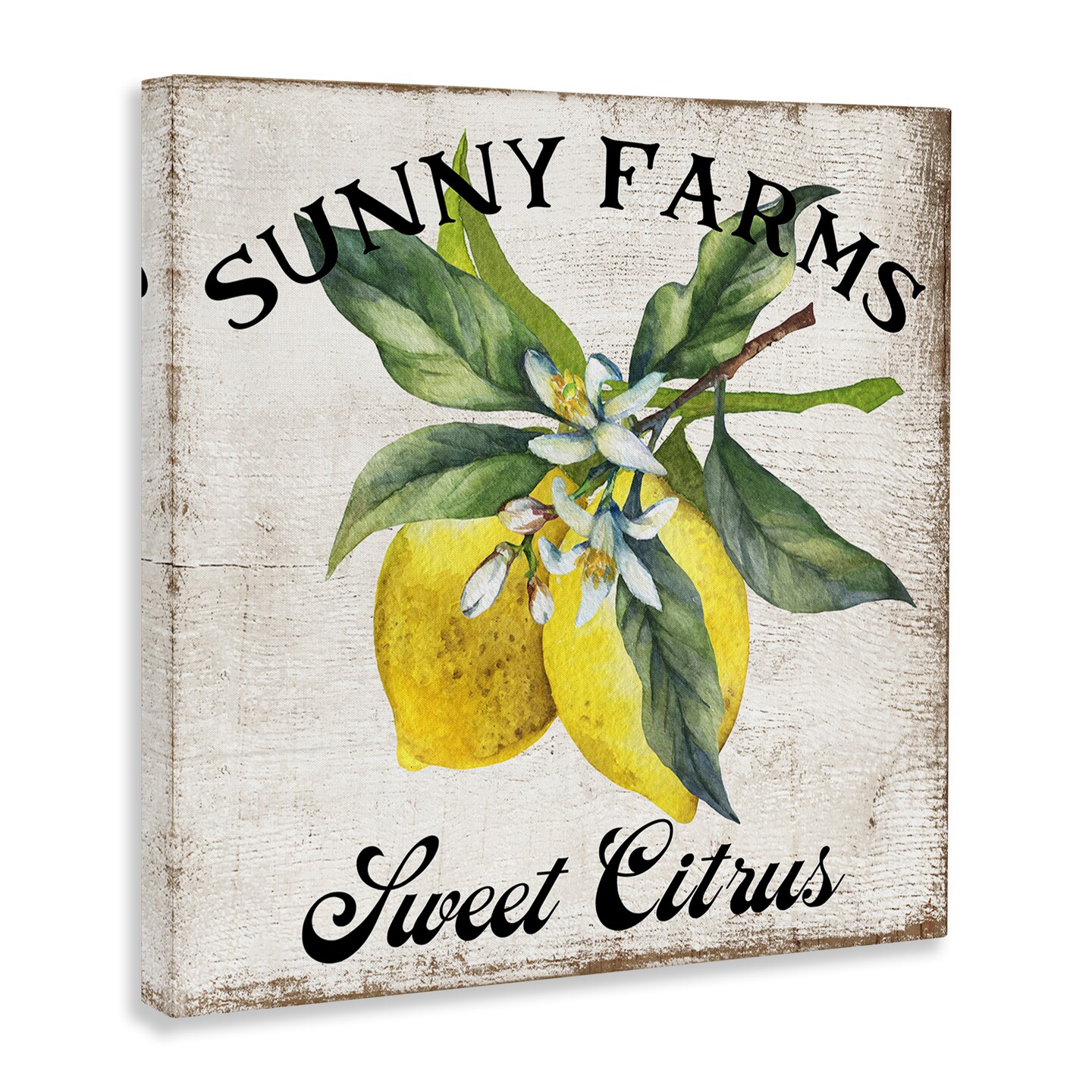 Stupell Industries Sunny Farms Sweet Lemon Canvas Wall Art Design by Creatif Belle