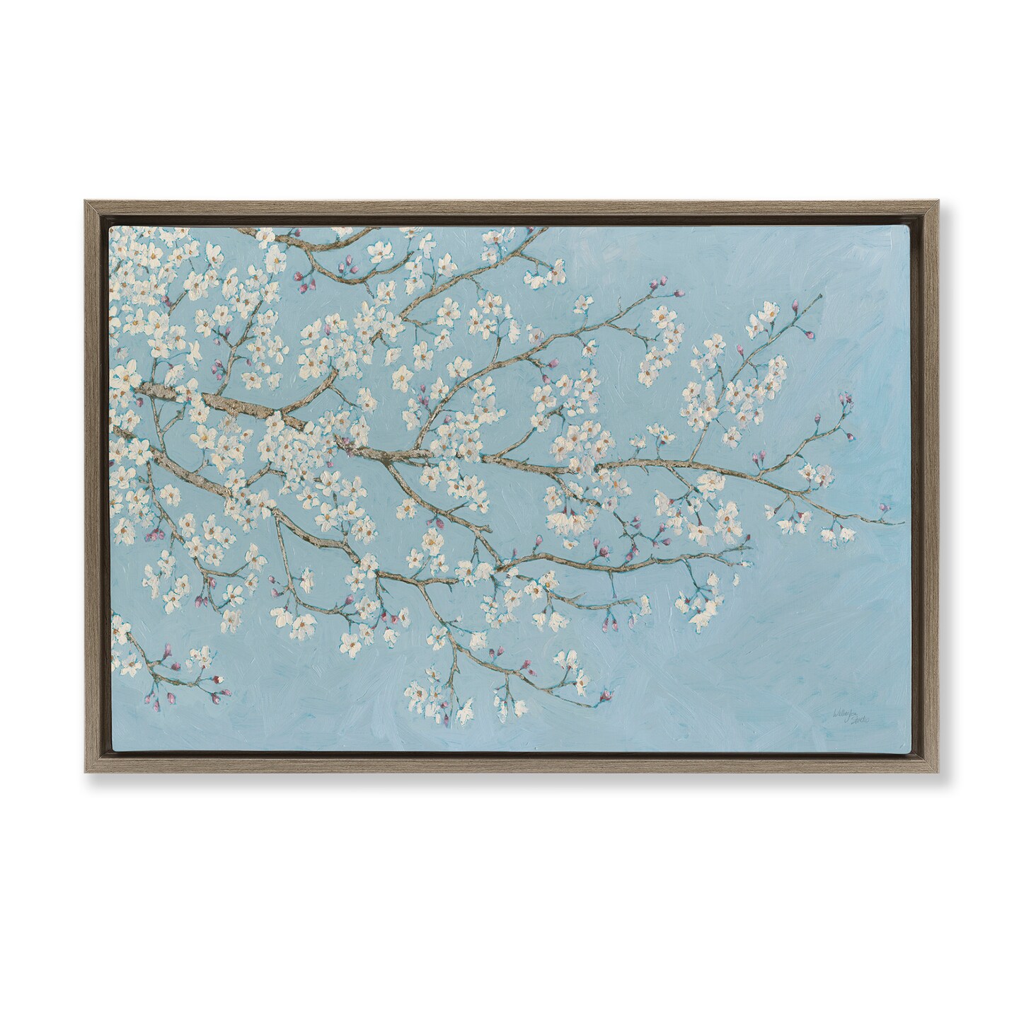 Stupell Industries Delicate Apple Blossoms Floater Framed Canvas Wall Art Design by Wellington Studio