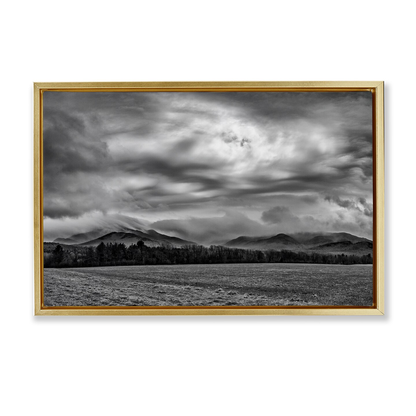 Stupell Industries Distant Cloudy Skies View Floating Frame, design by James Rodewald