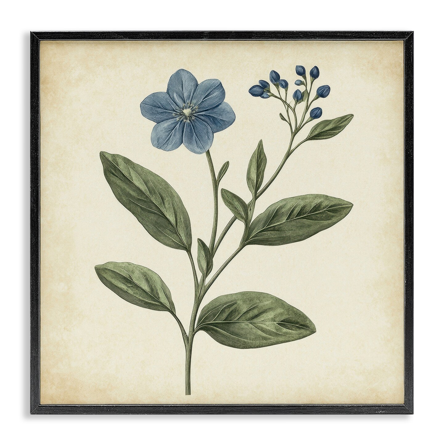 Stupell Industries Vintage Blue Blossoms Wildflower Framed Giclee, design by Petal Prints Design