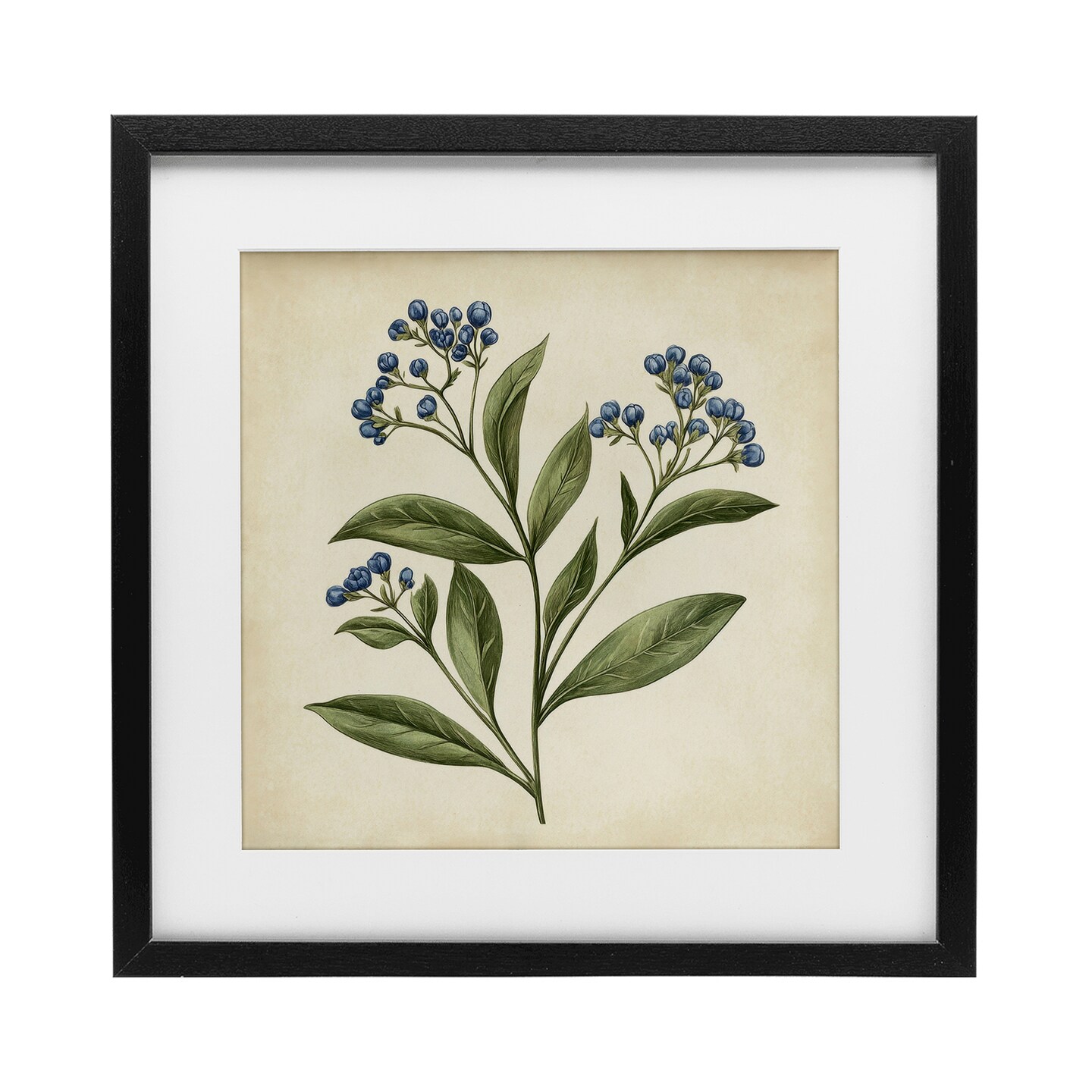 Stupell Industries Blue Buds Botanical Illustration Framed Print Under Glass, design by Petal Prints Design