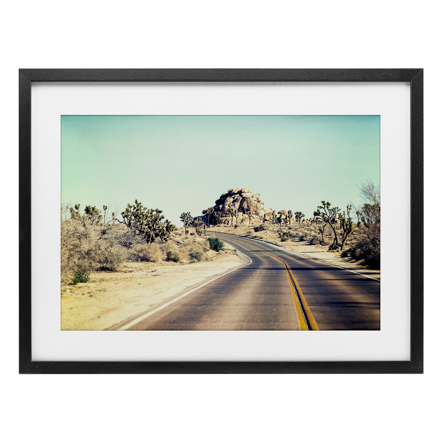 Stupell Industries Road Trip Joshua Tree Park Framed Print Under Glass, design by Joseph S Giacalone