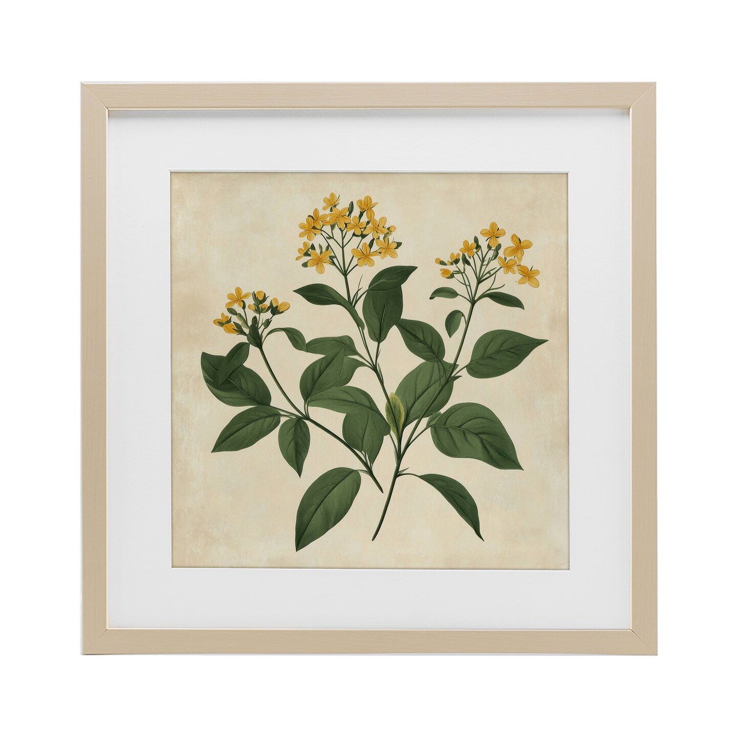 Stupell Industries Yellow Bushels Botanical Illustration Framed Print Under Glass, design by Petal Prints Design